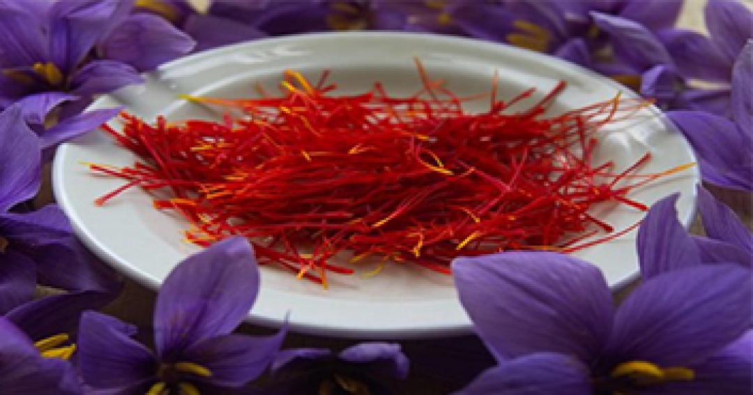 Cure liver cancer by taking saffron