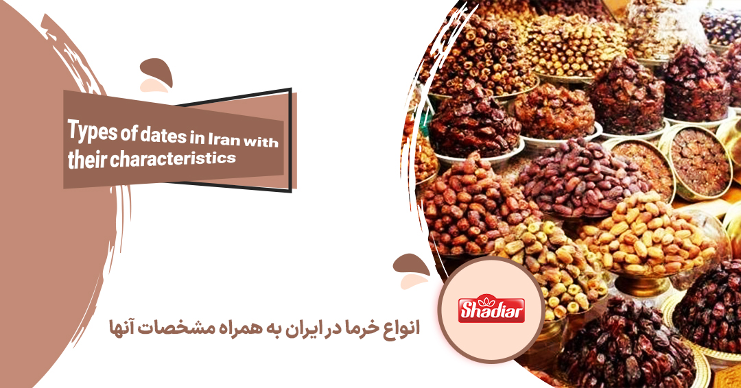 انواع خرما در ایران به همراه مشخصات آنها