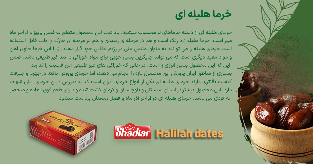 خرما هلیله ای