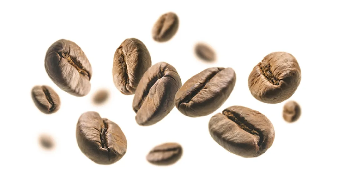 مرکز قهوه مشهد