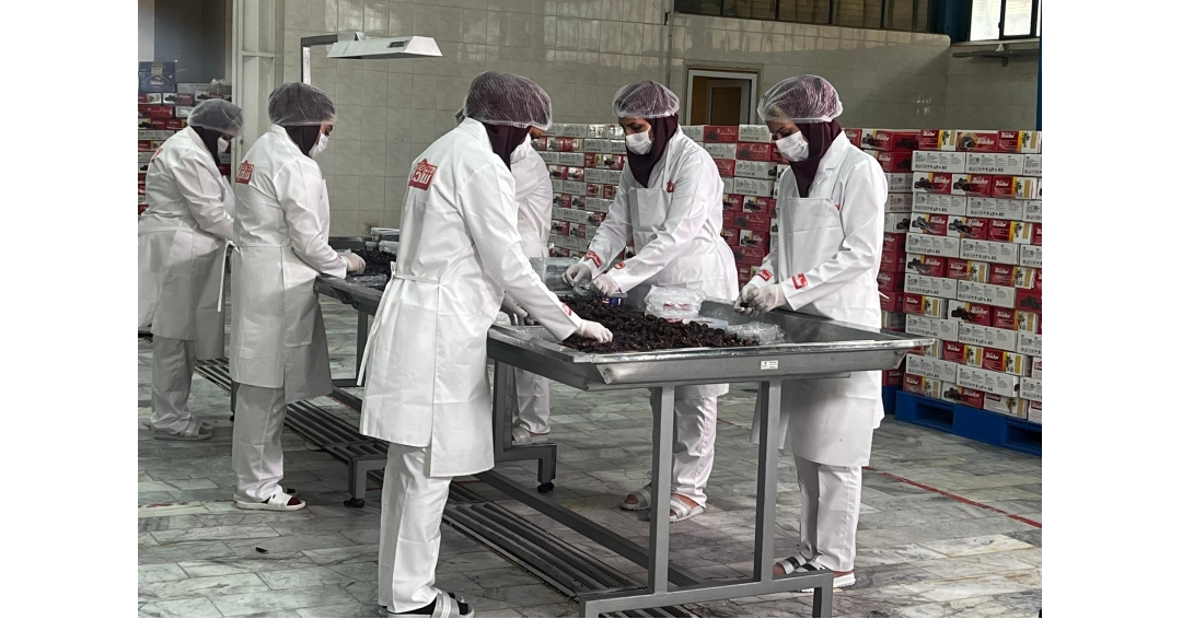 Dates Factory in Iran