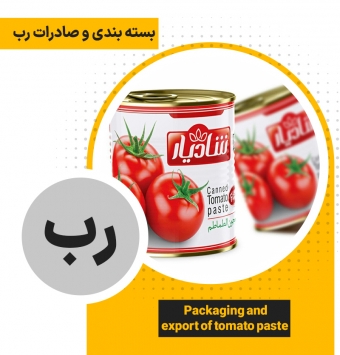 Экспорт консервированной томатной пасты